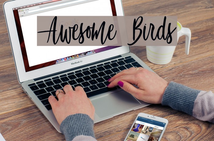 Awesome Birds Font examples