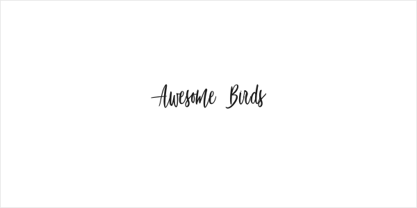 Awesome Birds Logo