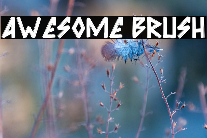 Awesome Brush Example 1
