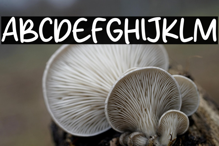 Awesome Friday Example 2