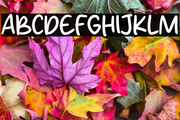 Awesome Friday Example 3