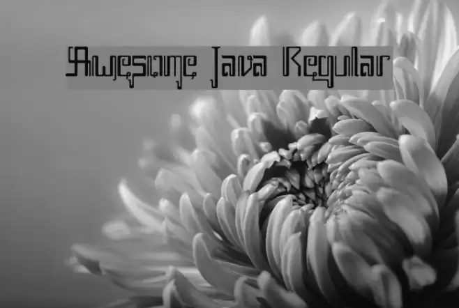 Awesome Java Regular Font examples