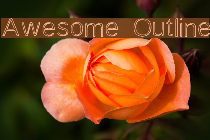Awesome Outline Font examples
