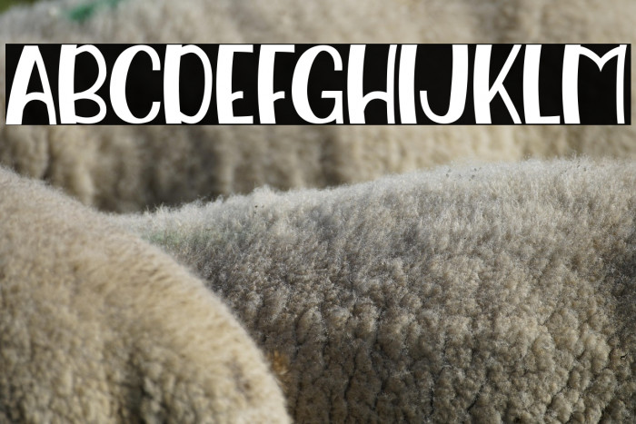 Awesome Party Display Example 1