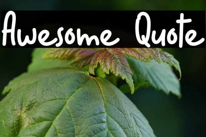 Awesome Quote Example 2