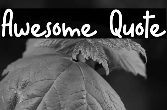 Awesome Quote Font examples