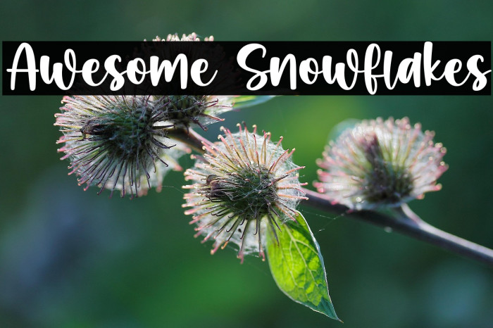 Awesome Snowflakes Example 2