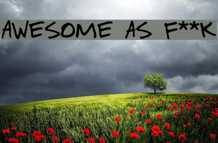 Awesome as f**k Font examples