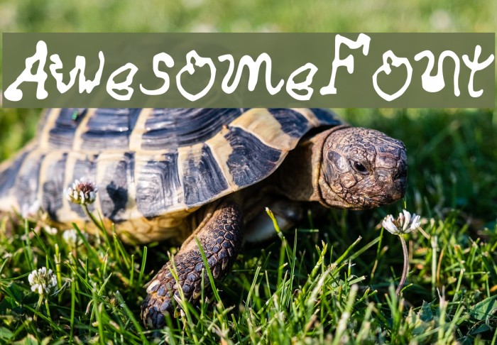AwesomeFont Font examples