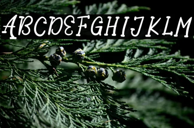 AwesomeParty-Regular Example 1