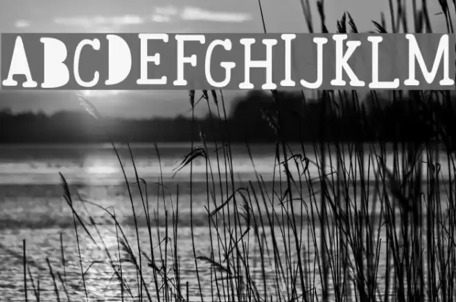 Awesome Font examples