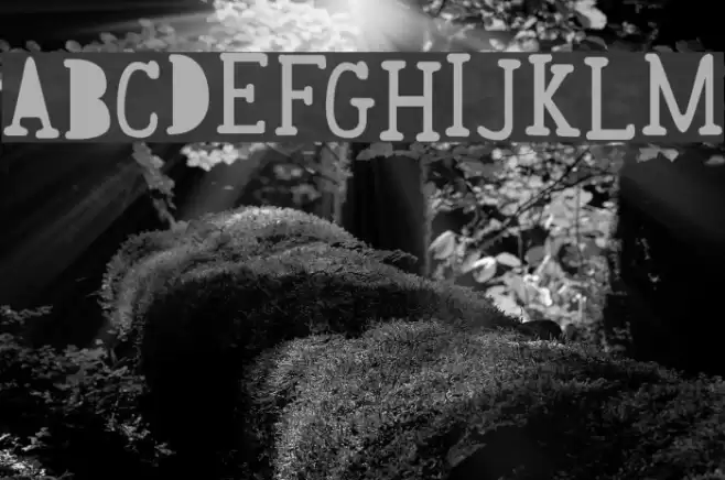 Awesome Font examples