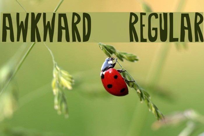 Awkward-Regular Font examples