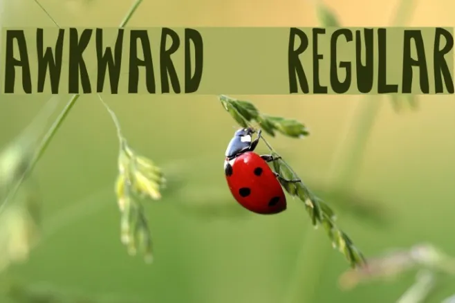 Awkward-Regular Example 2