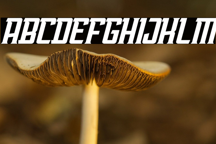 AwmU Slant Demo Example 2