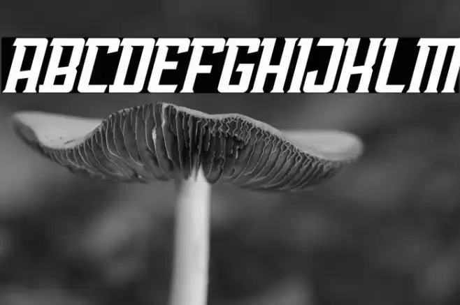 AwmU Slant Demo Font examples