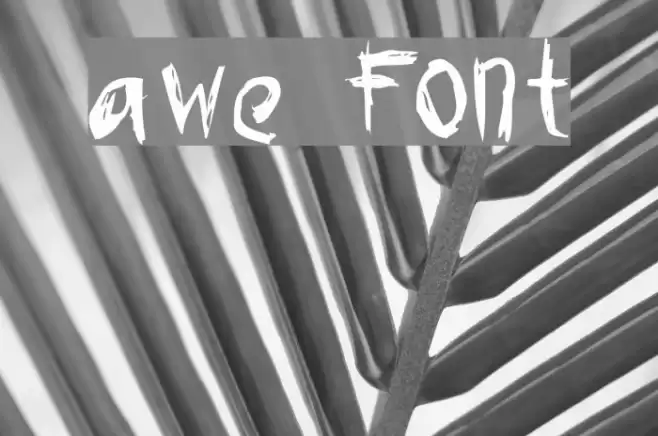 awe Font examples