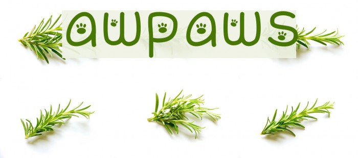 awpaws Font examples