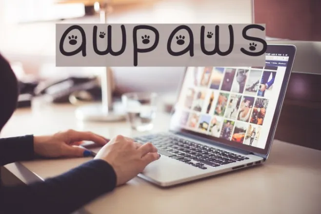 awpaws Example 2