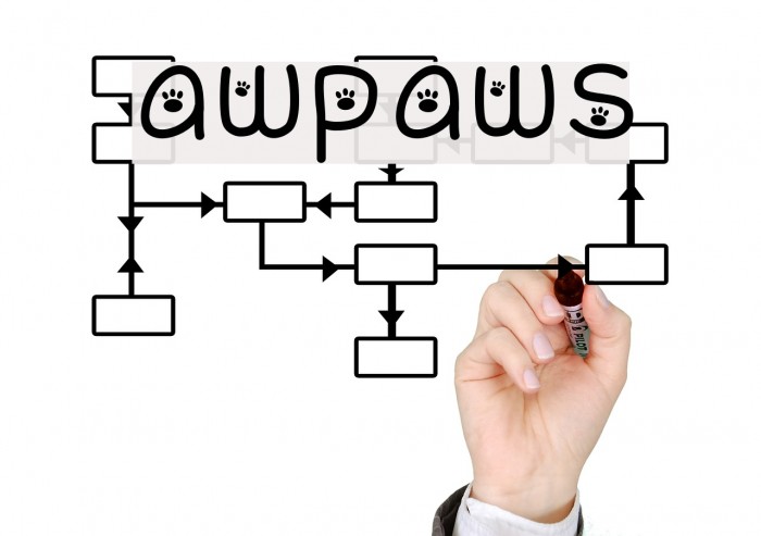 awpaws Font examples