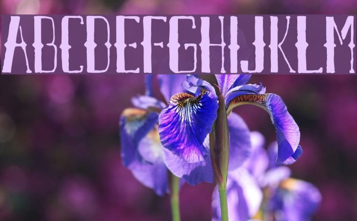 AXRAirpenaFreeVersion Font examples
