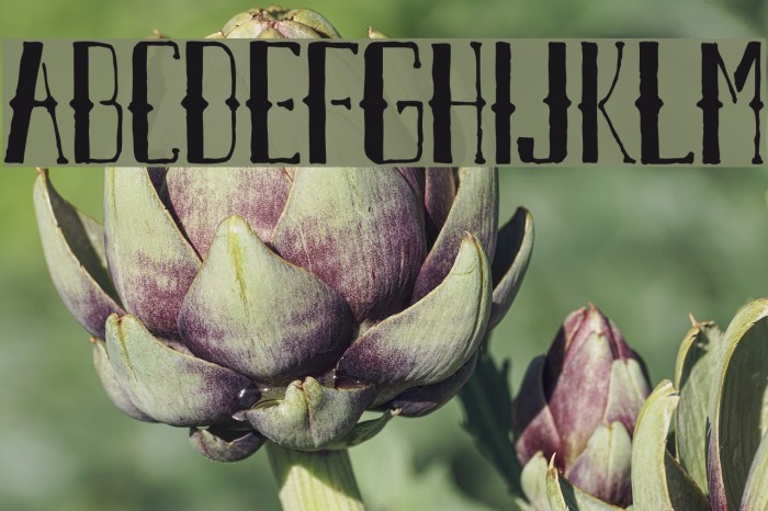 AXRAirpenaFreeVersion Font examples