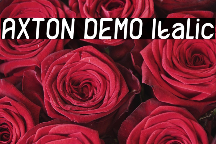 AXTON DEMO Italic Example 1