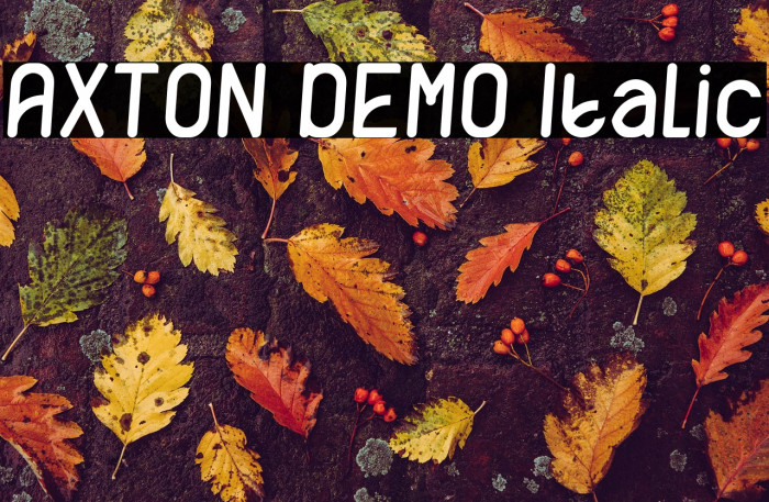 AXTON DEMO Italic Example 3