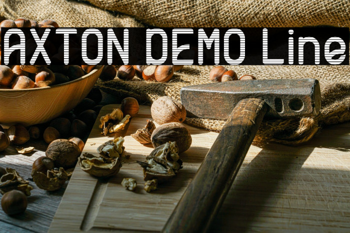 AXTON DEMO Line Example 2