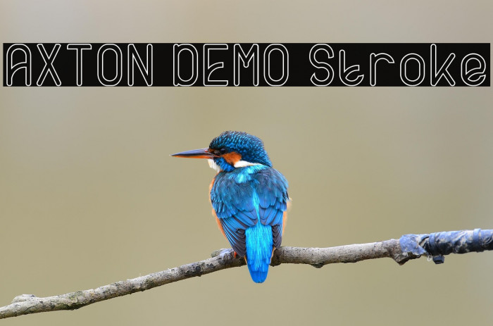 AXTON DEMO Stroke Example 3