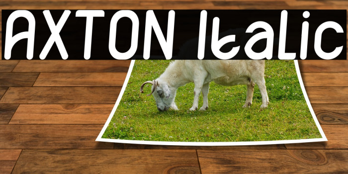 AXTON Italic Font examples