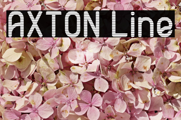 AXTON Line Font examples