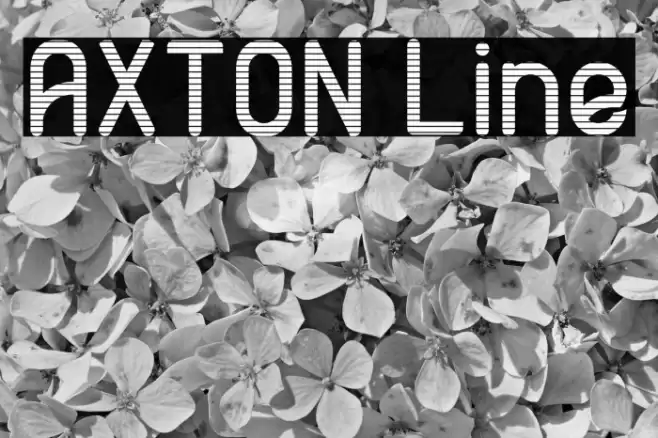 AXTON Line Font examples