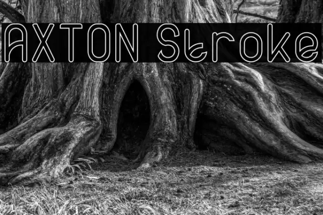 AXTON Stroke Font examples