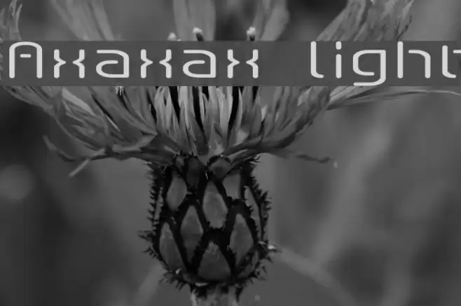 Axaxax light Font examples