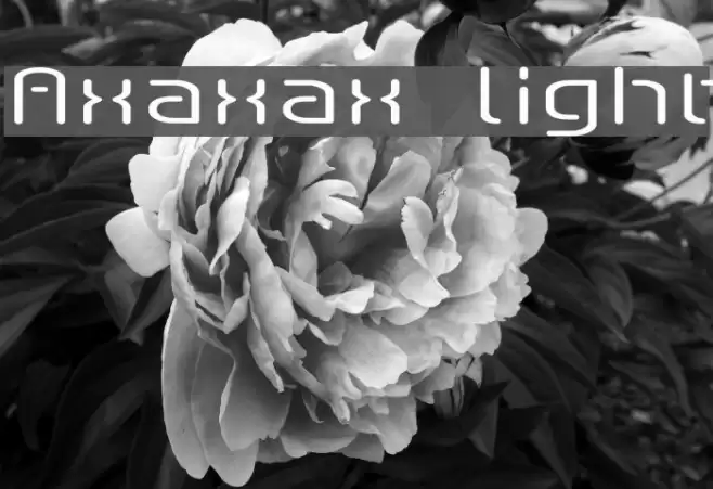 Axaxax light Font examples