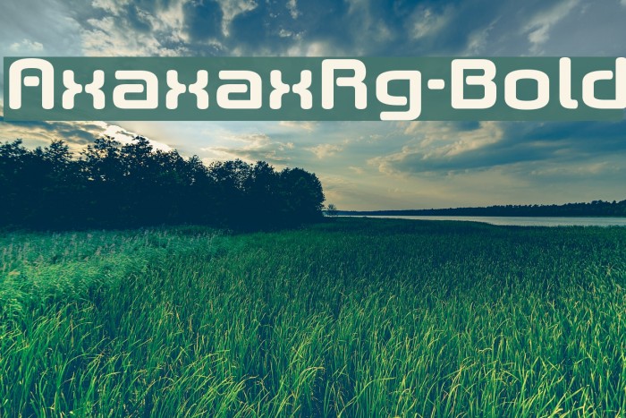 AxaxaxRg-Bold Font examples