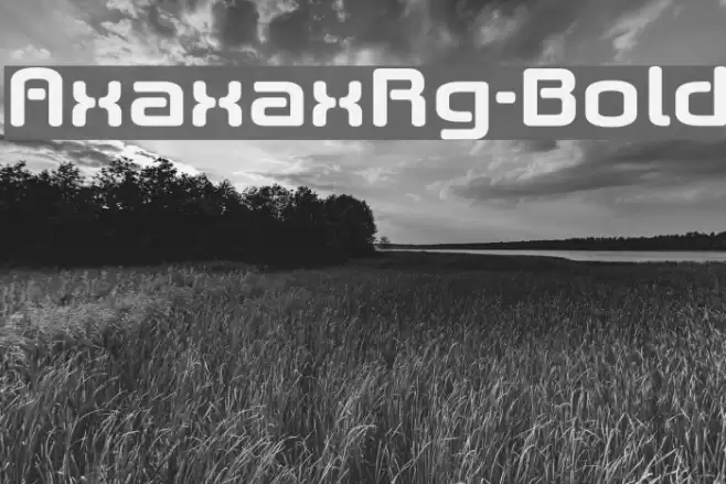 AxaxaxRg-Bold Font examples