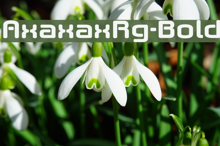 AxaxaxRg-Bold Font examples