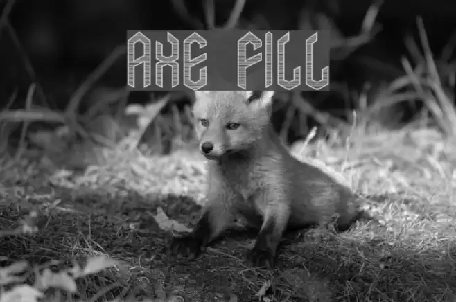 Axe Fill Font examples