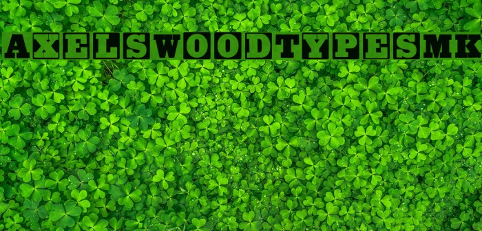 AxelsWoodTypesMK Font examples