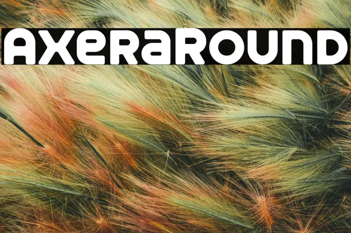Axera Round Example 2