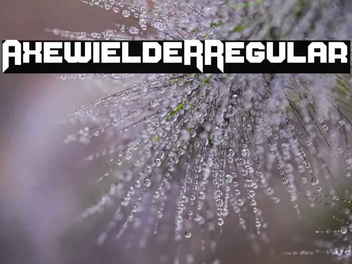 AxewieldeR Regular Example 1