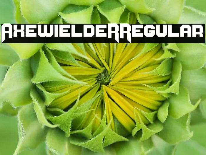 AxewieldeR Regular Example 3
