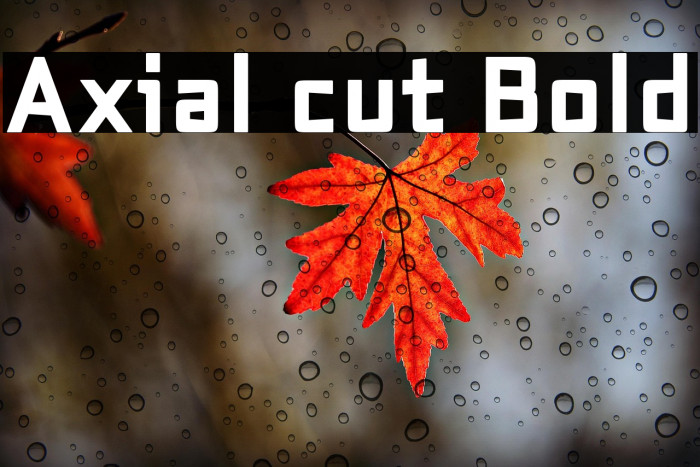 Axial cut Bold Example 2