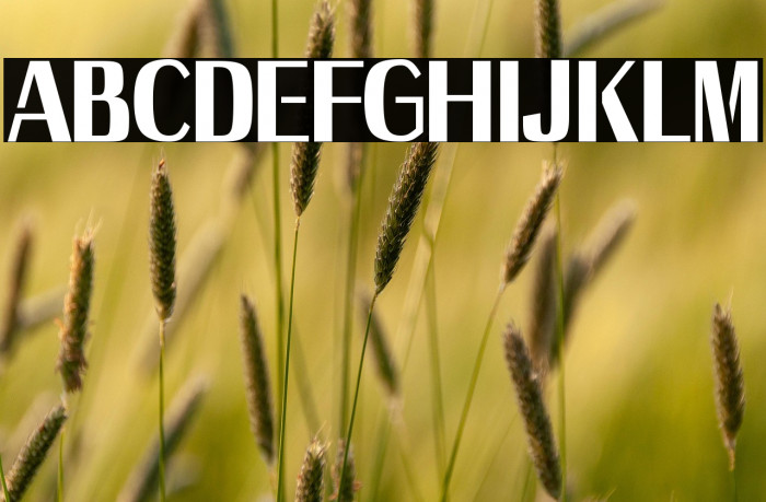 Axile - Personal Use Only Example 1