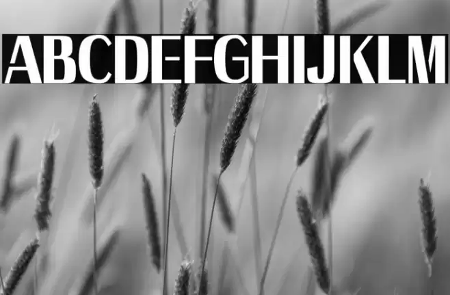 Axile - Personal Use Only Font examples