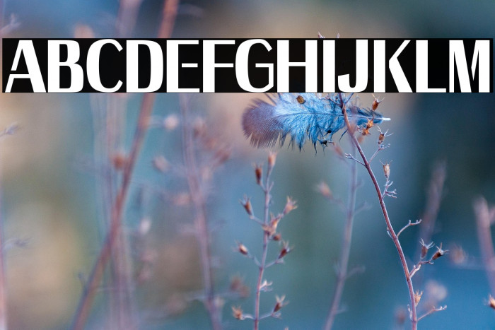 Axile - Personal Use Only Example 2