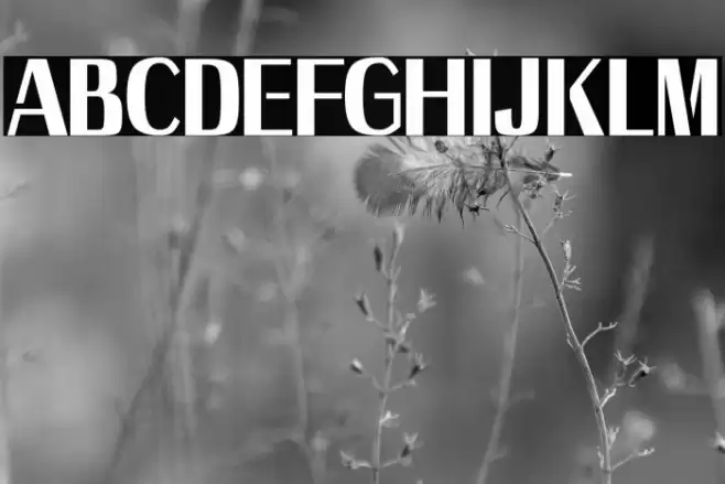 Axile - Personal Use Only Font examples