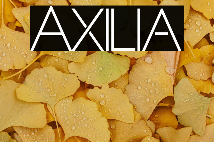Axilia Example 2